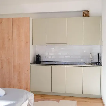 Alpennest 公寓 阿罗萨